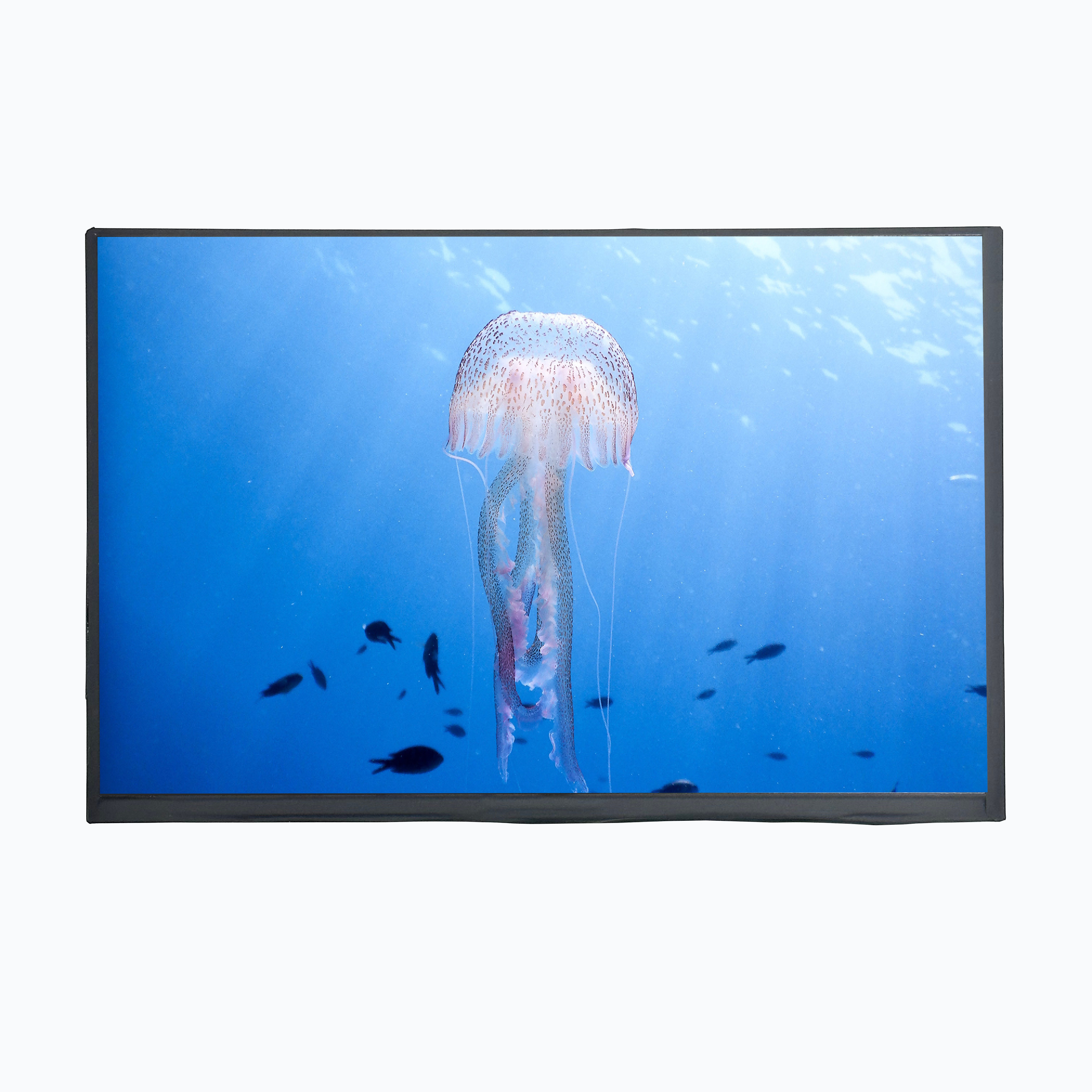 LCD Mall 10.1 Inch TFT LCD Display With EM Touch Panel 750cd/m2 1280XRGBX800 Resolution