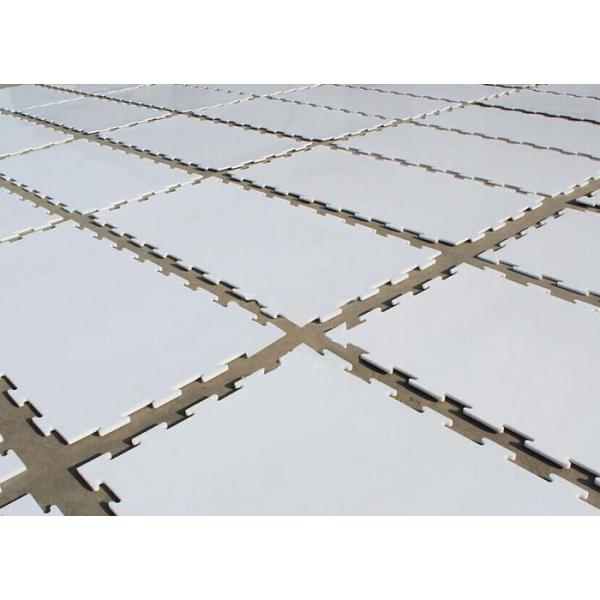 1200*1000mm Hockey Synthetic Ice Rink Portable UHMWPE Roller Skating Flooring