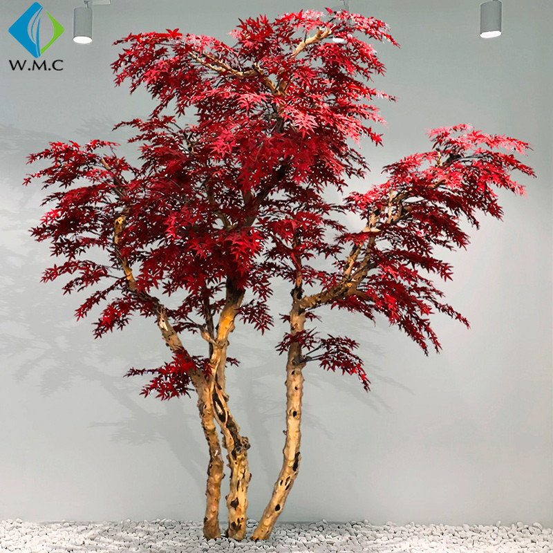 T11048  red maple.jpg