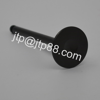 Durable Automotive Accessories / Diesel Engine Valve 4M40 4M40T Mitsubishi ME201705T ME201706T
