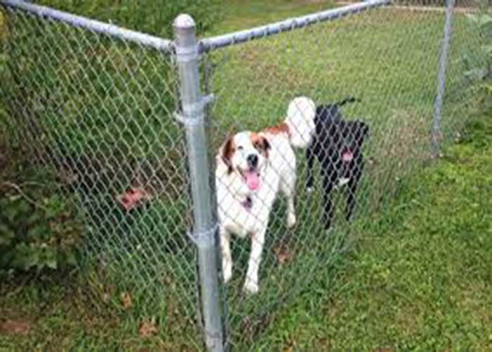 Zoo Mesh Smooth Surface Diamond Chain Link Fence