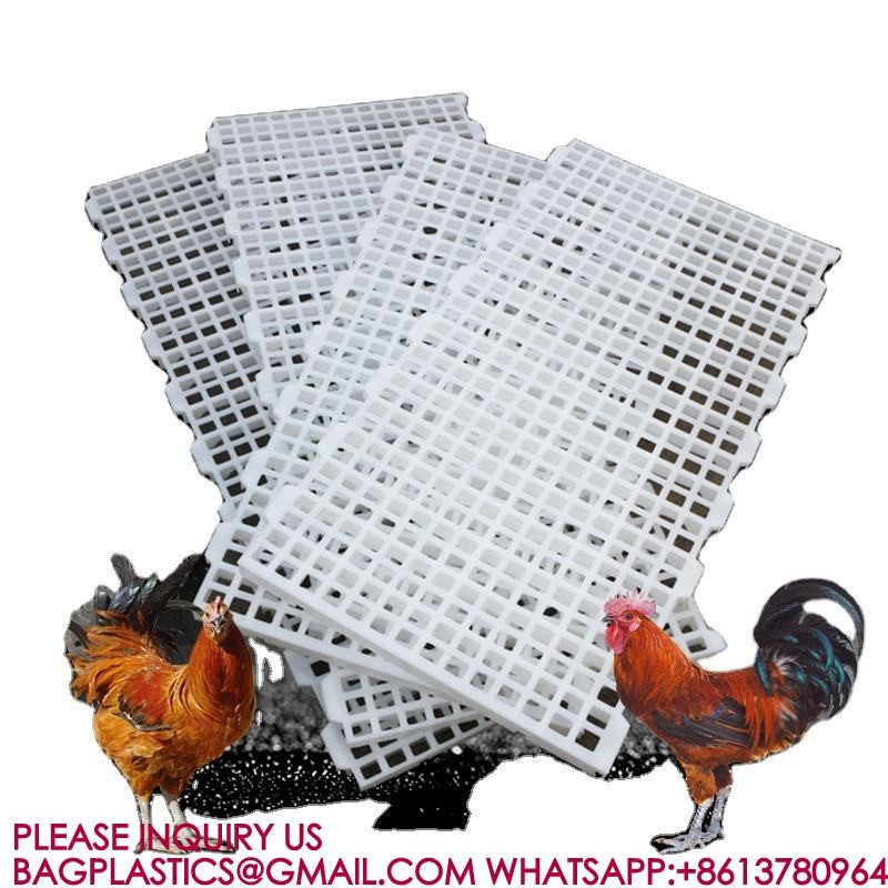 Poultry Farm High Quality Adult And Baby Chicks Poultry Slats baby chicks poultry slats