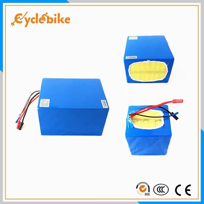 Electric Bike Rechargeable Lithium Polymer Battery Pack 48v 20ah 1200 Cycles