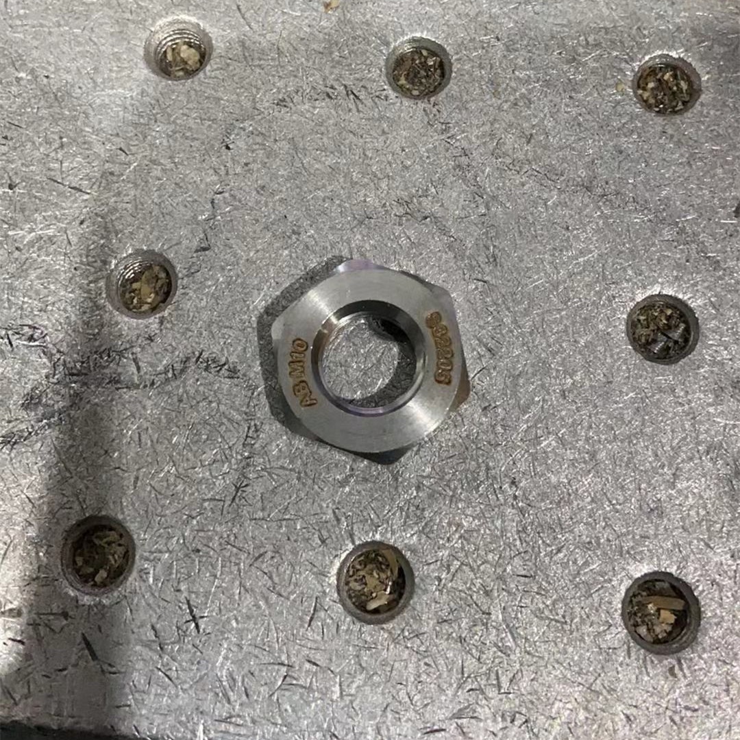Hexagon Head NXF GB5170 D6 M6-M30 Plain Duplex Stainless Steel 2205 Thin Nut for Water Treatment Applications