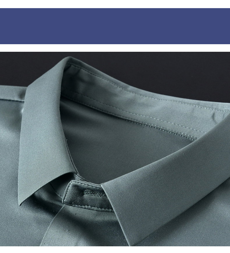 2021 Solid Color Professional Long Sleeve Men's Clothing Dress Plus Size DRESS SHIRTS