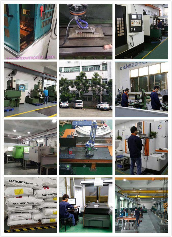 High Accuracy Automotive Plastic Injection Molding With Hasco / Synventive Runner