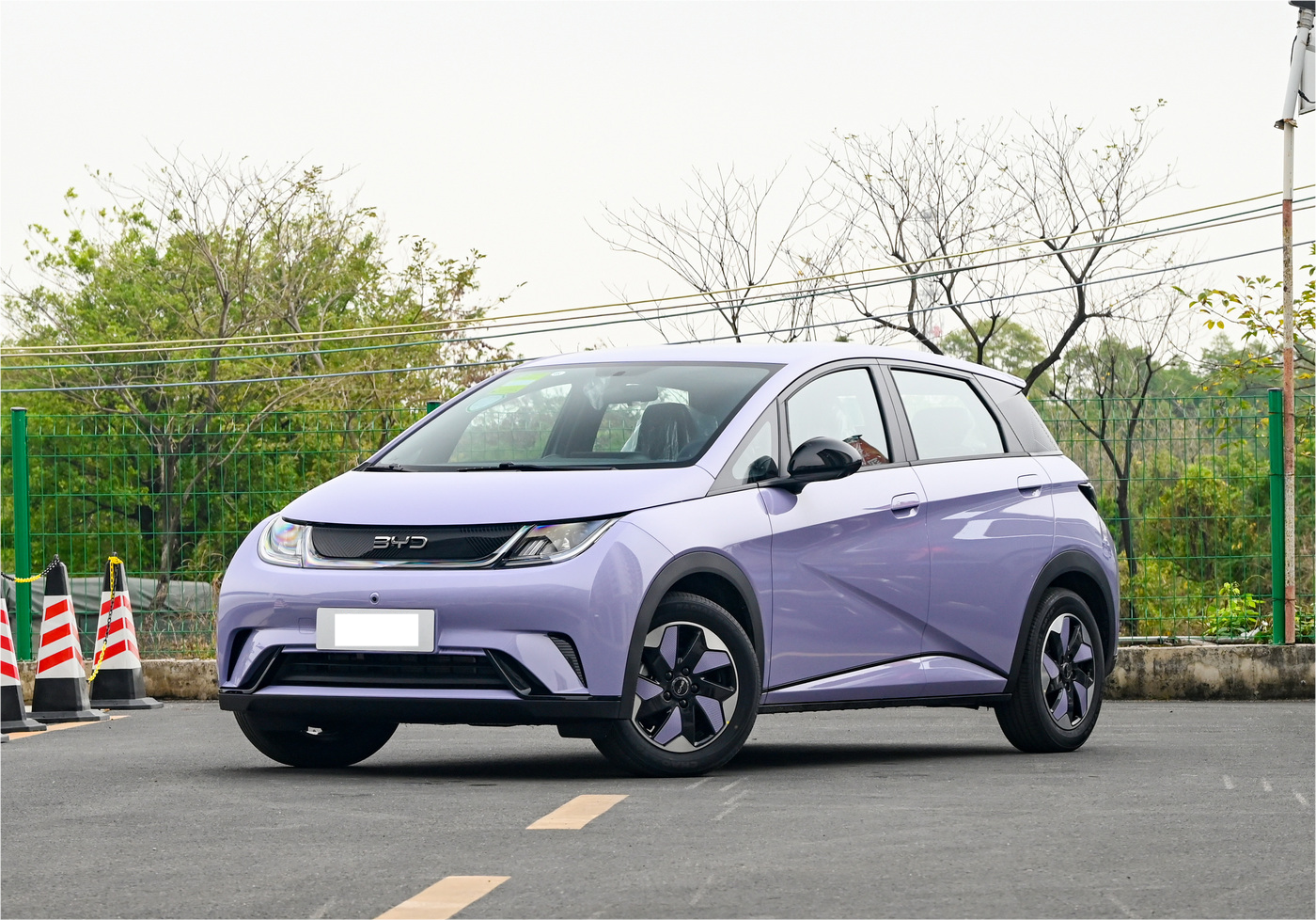 2024 BYD Dolphin Electric Vehicle With 420km Range