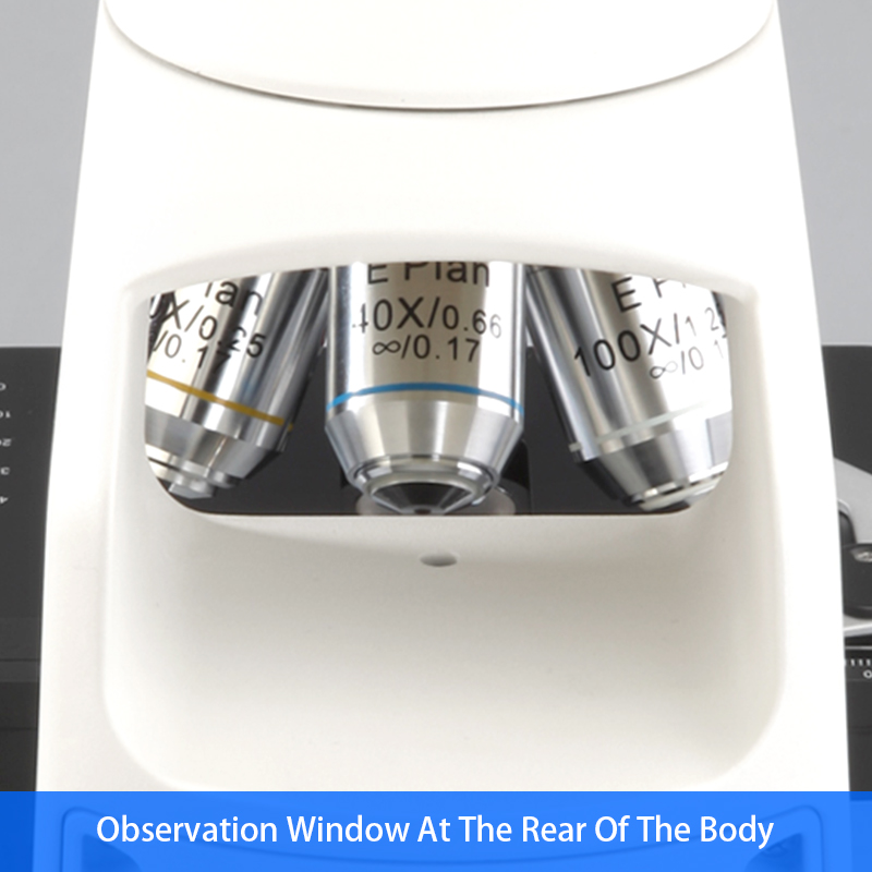 Multifunction Compound Optical Microscope Biological Monocular 1000x Microscope