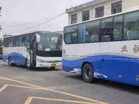 Used Luxury Buses 47 Seats 2 Passenger Doors 11 Meters Long Rare Engine A/C 2nd Hand Young Tong Bus ZK6117