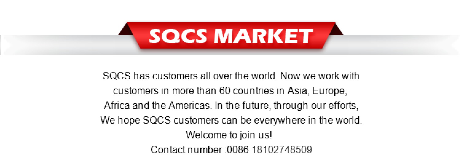 SQCS Auto Parts Your for Mercedes Benz Sprinter 901 902 Brake Pads Replacement/Repair