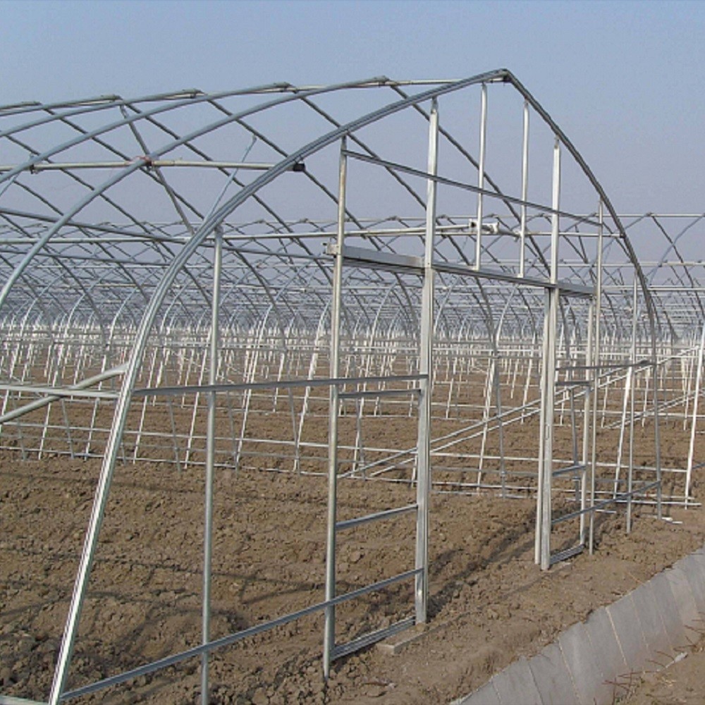 Plastic Film Tunnel Single Span Greenhouse Heat Preservation For Winter Tomato
