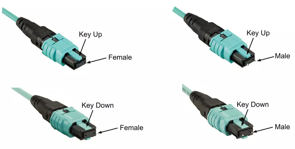 OM3 72 Fiber Mutimode SM MM MPO MTP Cables