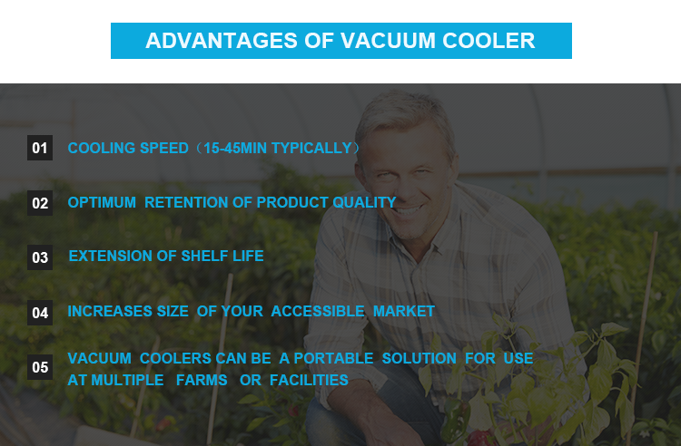 380V 50Hz Hydro Vacuum Cooling 500-700kg Capacity Long Service Life