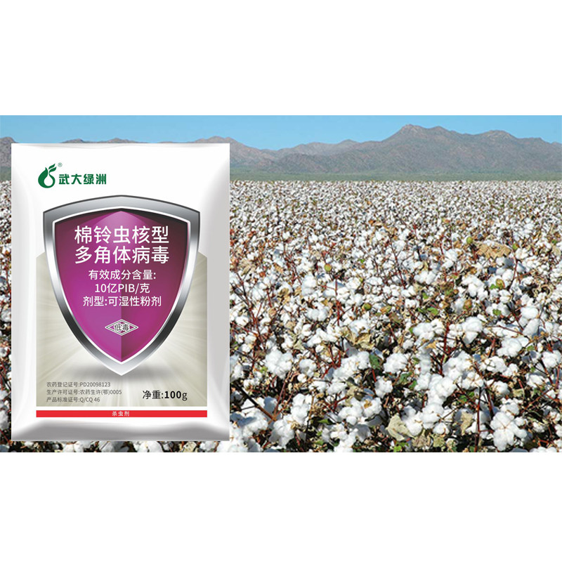 OEM HaNPV Soybean Pesticides Spray Liquid Onion Maggot High Efficiency Insecticide