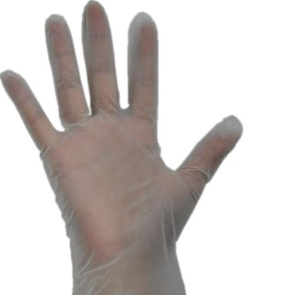 Disposable Vinyl Gloves Powder Free , Disposable Medical Gloves Infection