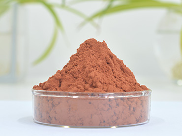 Cinnamon Extract cinnamon bark extract 10-30% Cinnamon Polyphenols