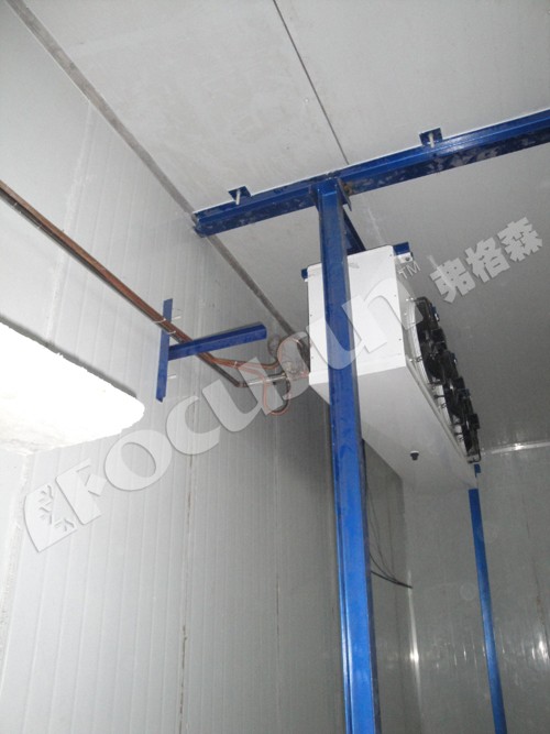 Energy-Saving Cold Rooms for Fruit and Vegetables Convenient Frozen Food Storage
