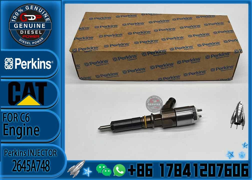 Common rail injector fuel injecto 2645A717 32F61-00013 10R-7675 2645A748 for C4.2 C6.4 Excavator C4.2 C6.4 320D