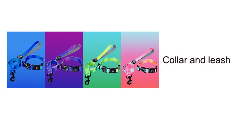 Polyester cute dog leash and collar set Anti Break Metal Buckle Lable With Handle
