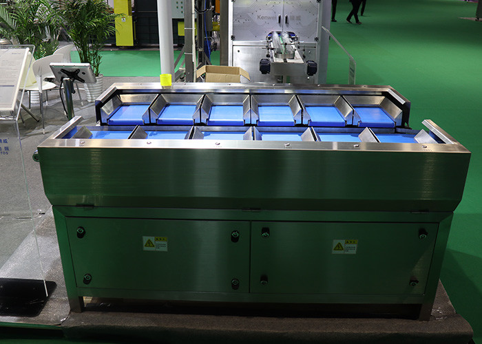12 Head Manual Combination Weigher With Belt