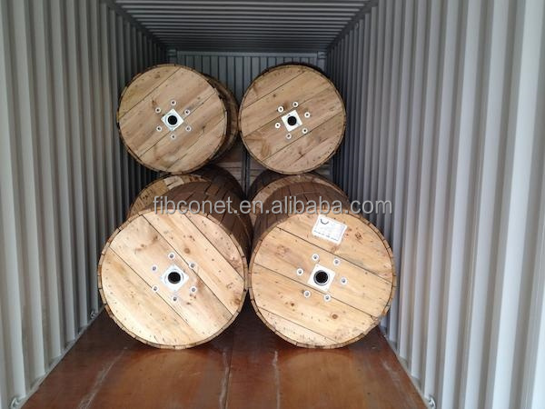 Bow Type Tight Buffer Structure Outdoor Aerial Armored GYXTW 12 Cores Fiber Optic Cable
