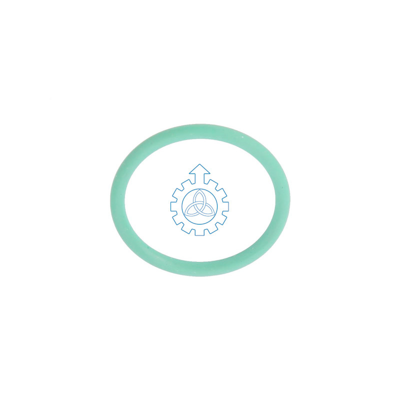 O-ring 17282381