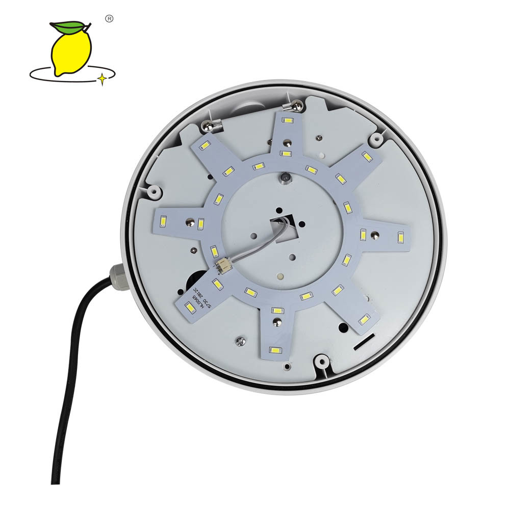 Indoor Ceiling Mounted Emergency Lights , Round Flush Mount Ceiling Light