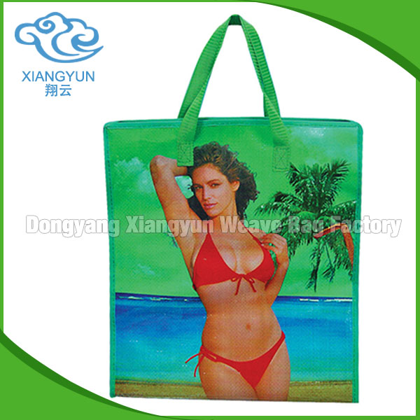 factory directly sell shiny pp woven zip shopping bags