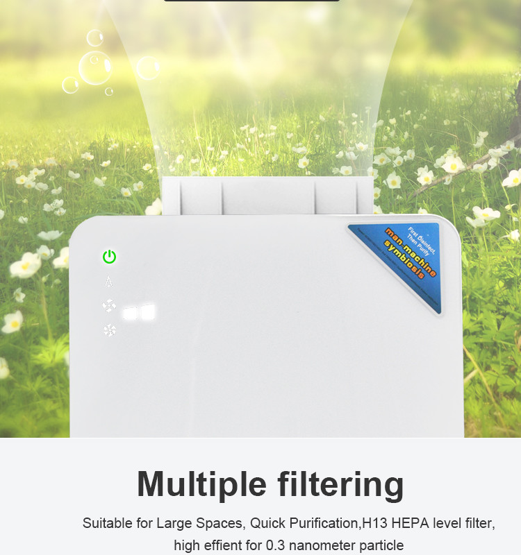 Smart Negative Ion Pollen 100W Hepa Air Purifier With Child Lock