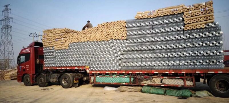 Stainless Steel Welded Wire Mesh Fence Panels 3.8mm 12 Gauge Wire Mesh Fencing