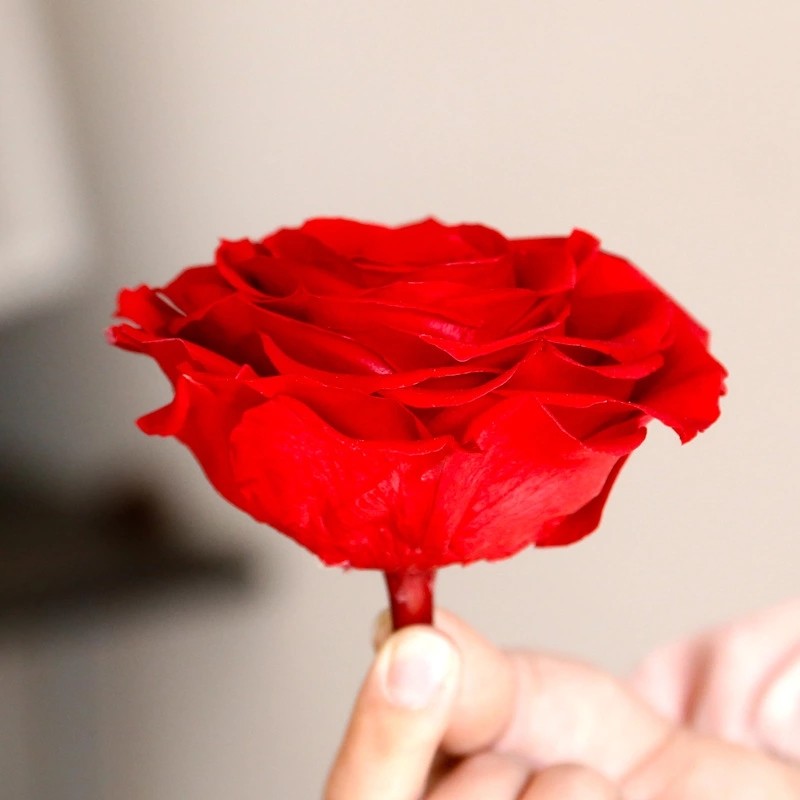 China factory Real Preserved Rose in Gift Box for Decoration Gift Preserved Flowers in Box