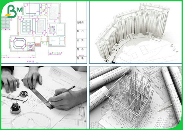 80gsm High Whiteness Roll Plotter CAD Plain Paper of 36inch 42inch 50inch 