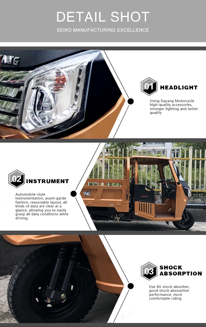 250cc DAYANG Motorized Fuel Cargo Trike for Adults 800 kg Load Capacity Customizable
