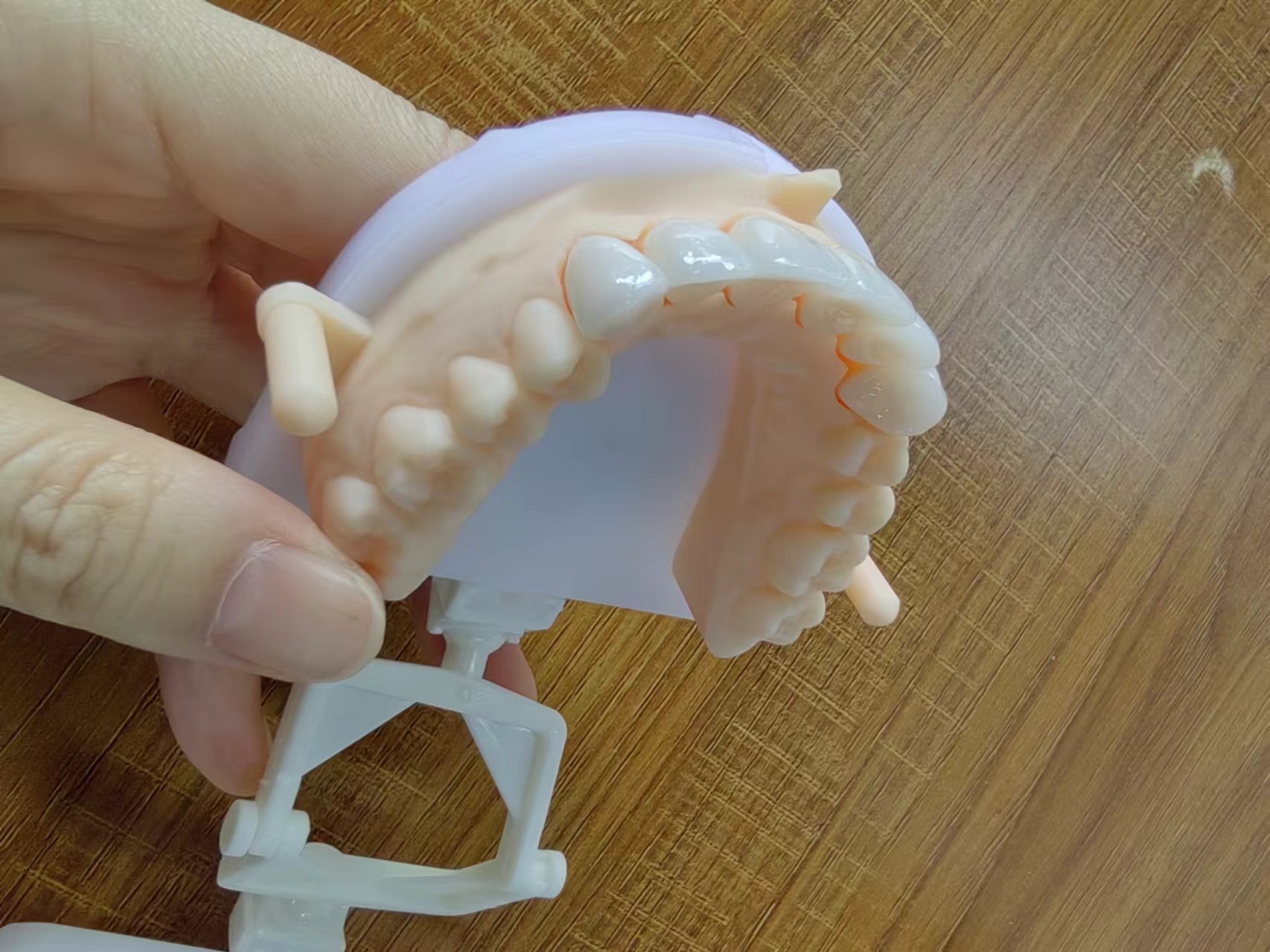 Natural Esthetics Layered Zirconia Crown Bridge For Beautiful Smile And Good Restoration FDA And CE Certification