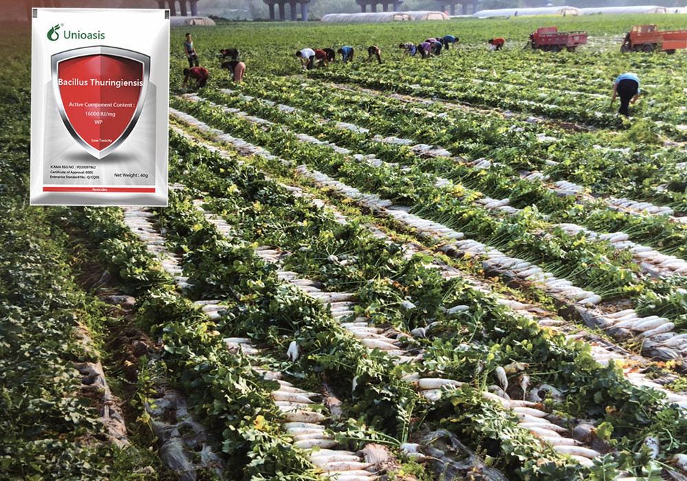 Microbial Biological Pesticides With Bacillus Thuringiensis Bt