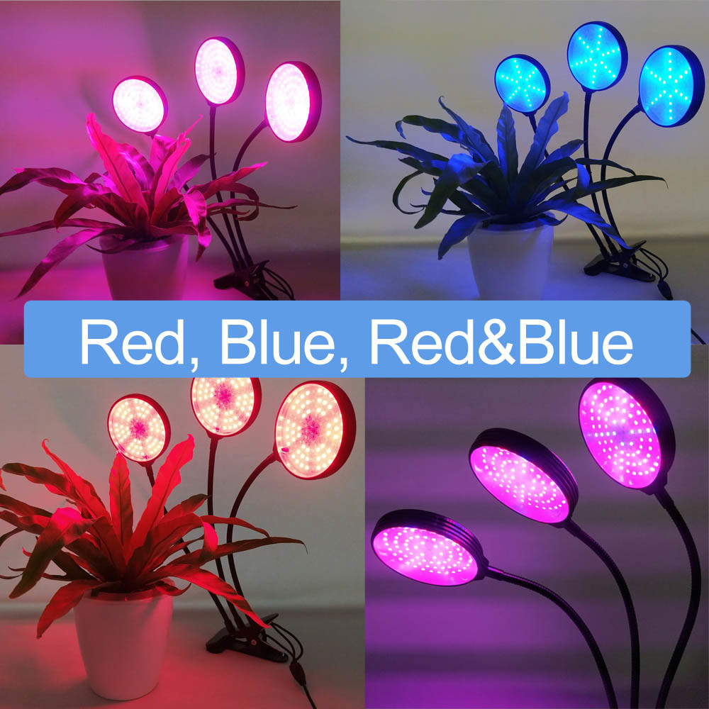 12H Plant Grow Lamp