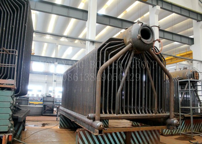 Heat Resistance Wood Chip Biomass Boiler 0.5-6 T Wood Burning Steam Boiler