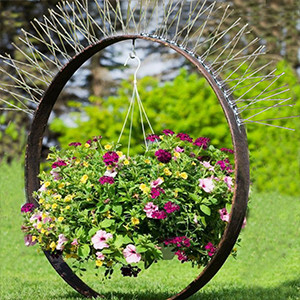 Spikes for birds animal stainless steel bird spikes window sills