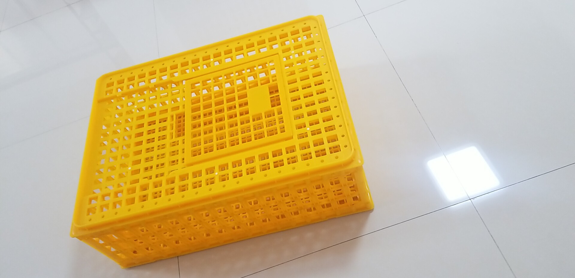 Commercial Farm Polypropylene Chicken Transport Cages