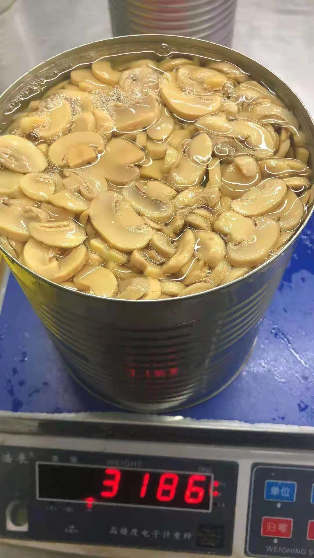 Canned Champignon Mushroom For Pizza Soup Salad