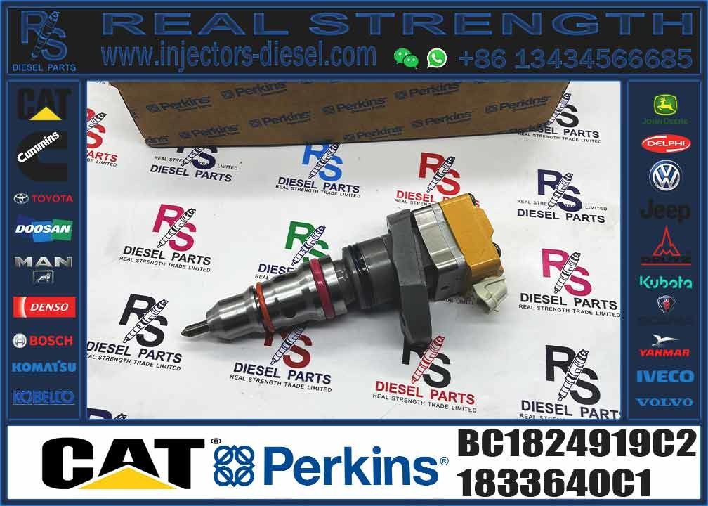 Fuel Injector Assembly BN1830693C3 593597C91R BI1830562C2 BI1830560C2 BI1830560C1 AP63813BN CE1829926C1 BC1824919C2