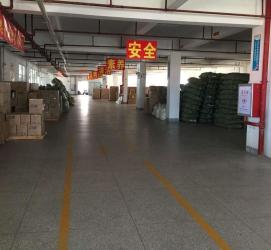 Qingdao Golden Shark Yacht Technology Co., Ltd.