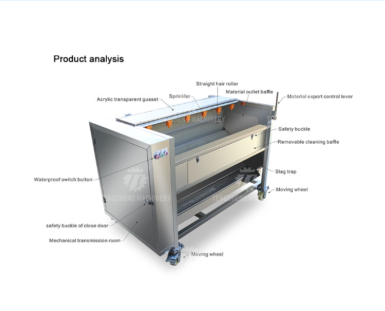 Factory direct with standard multi-functional fruit washing machine medium-sized lotus root washing radish machine
