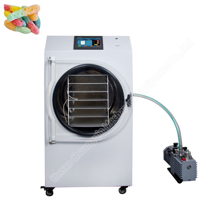 SUS 304 Household Vacuum Freeze Dryer Lab Freeze Dryer PLC Control system