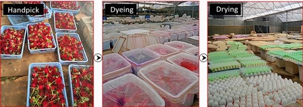 Wholesale immortal roses soft eternity roses preserved rose that last one year preserved roses