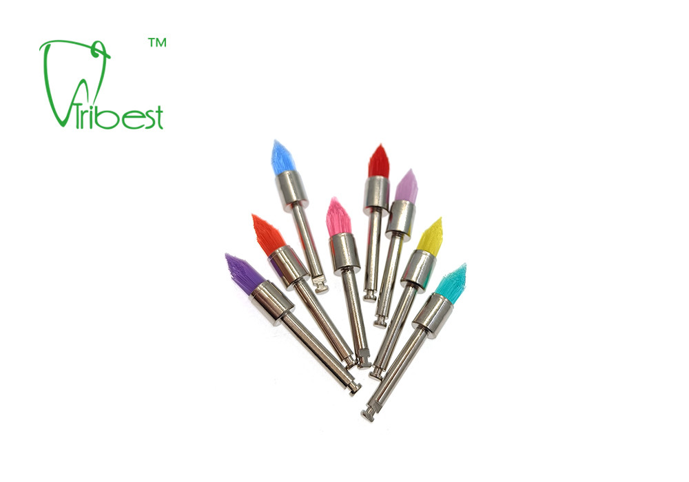 Dental Polishing Kit Teeth Polishing Brush Nylon Brush Pencil Sharp