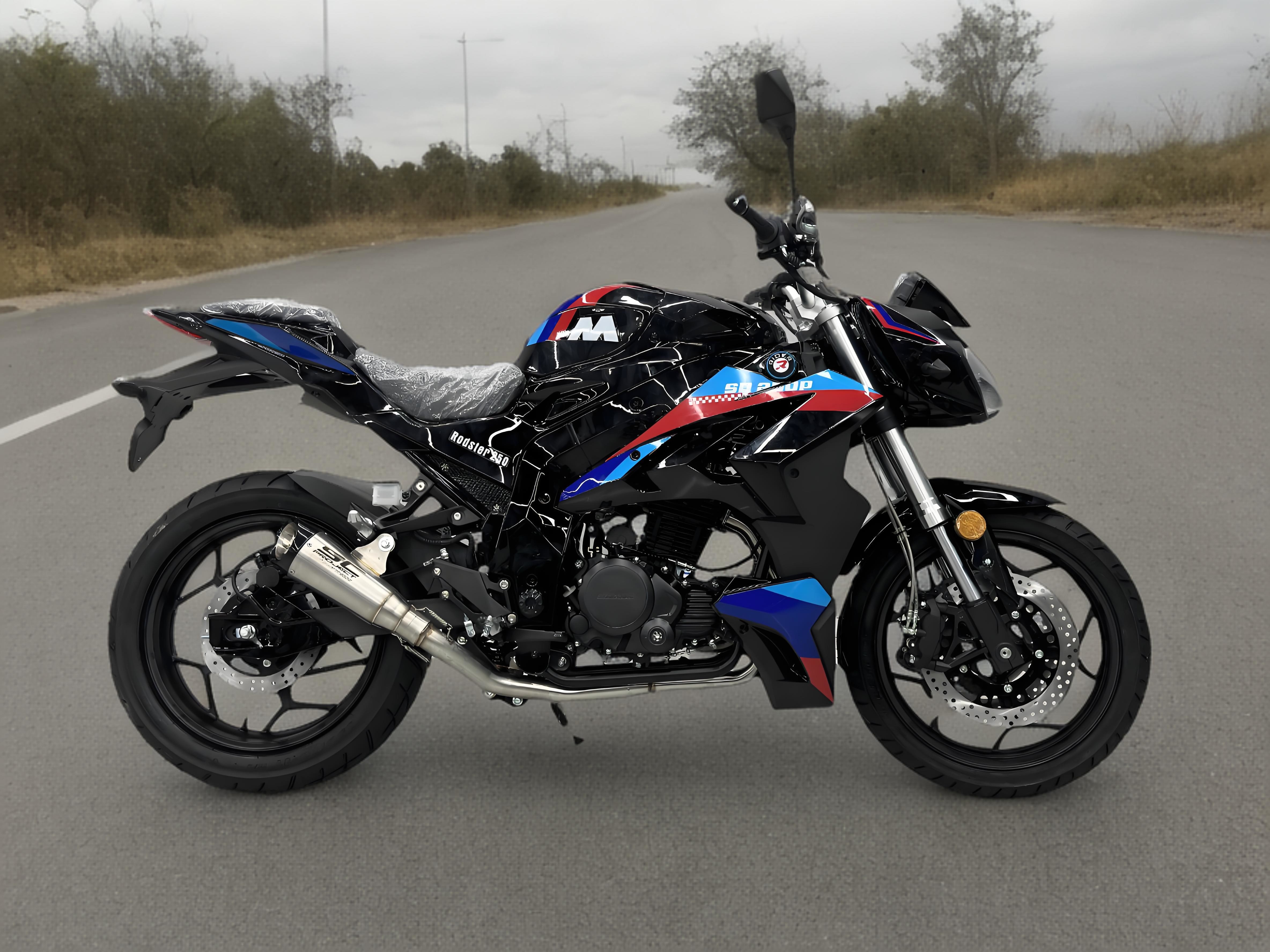 Street Motorcycles For Adults 250cc Enduro Motorcycles Customed Color 4-Stroke Engine
