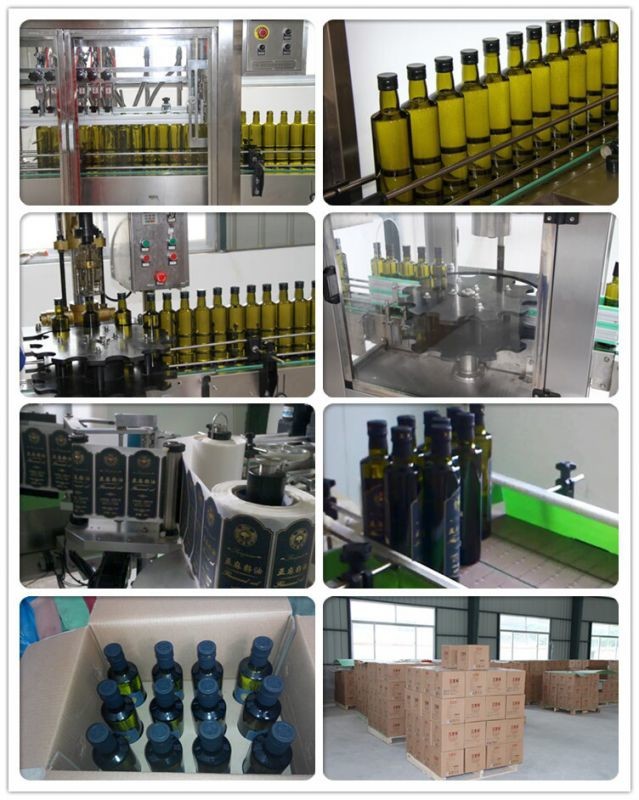 Evening Primrose Oil Healthy Edible Oil Remission Of Menopausal Symptoms