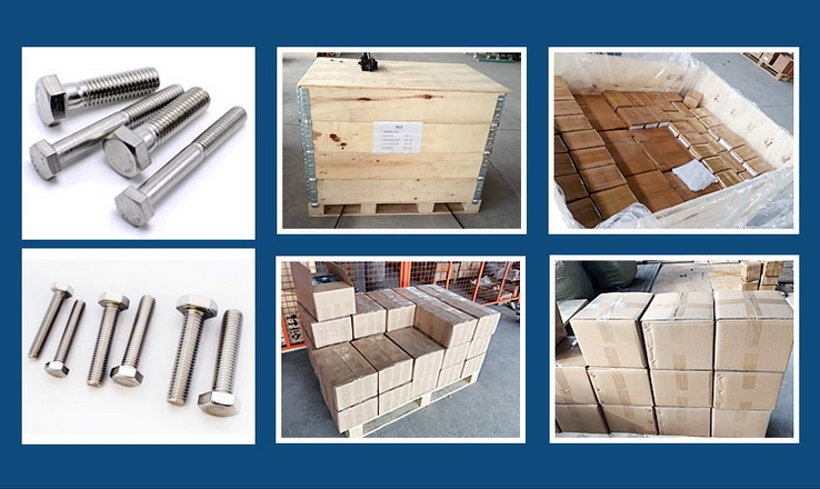 Professional Building Hex Bolts and Nuts Din933/Din931 in Customized Size for Building