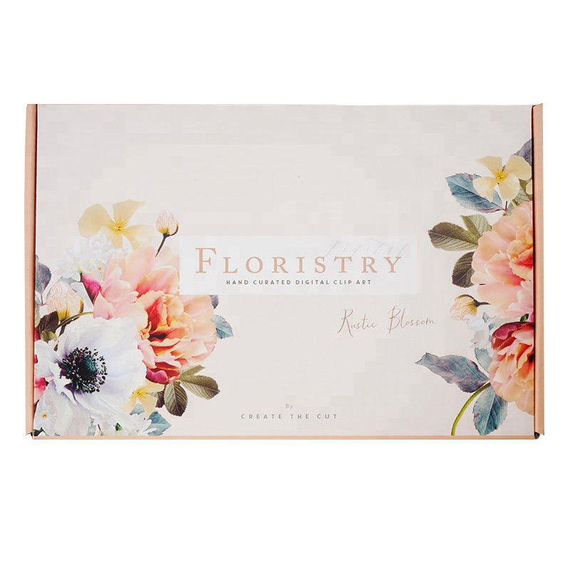 Custom Printing Made Design Fancy Folding Portable Corrugated PaPer Packing Mailing Shipping Boxes